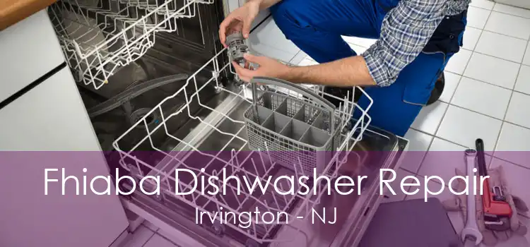 Fhiaba Dishwasher Repair Irvington - NJ