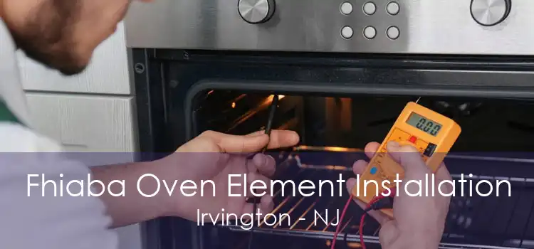 Fhiaba Oven Element Installation Irvington - NJ