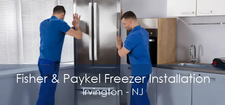 Fisher & Paykel Freezer Installation Irvington - NJ