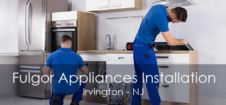 Fulgor Appliances Installation Irvington - NJ
