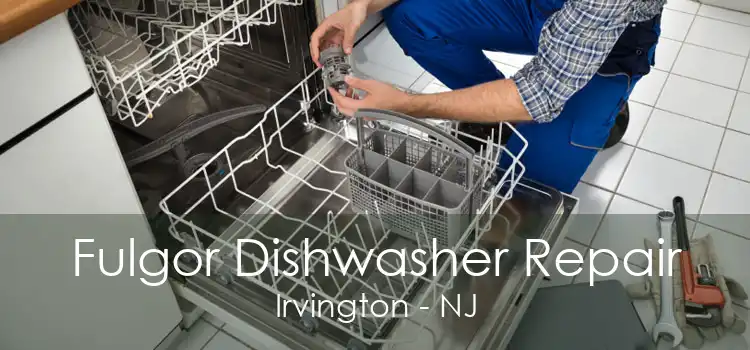 Fulgor Dishwasher Repair Irvington - NJ