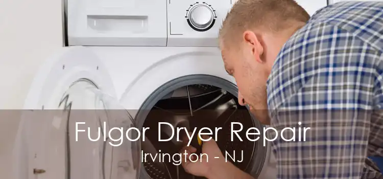 Fulgor Dryer Repair Irvington - NJ