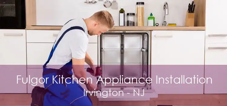 Fulgor Kitchen Appliance Installation Irvington - NJ
