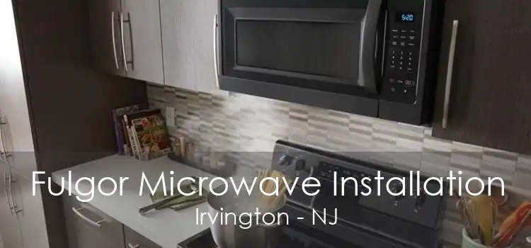 Fulgor Microwave Installation Irvington - NJ