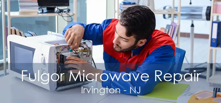 Fulgor Microwave Repair Irvington - NJ