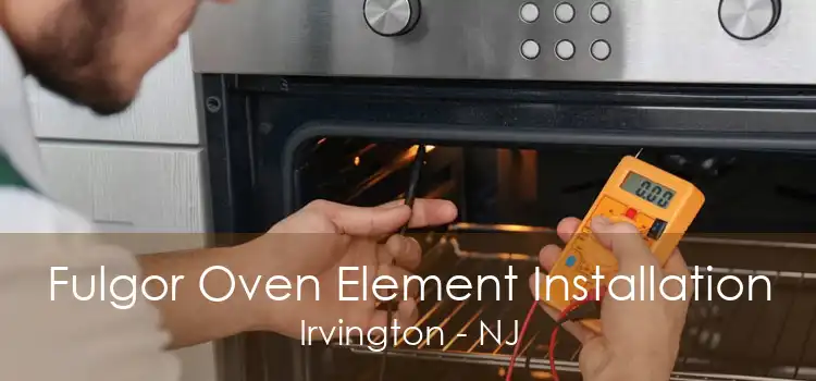 Fulgor Oven Element Installation Irvington - NJ