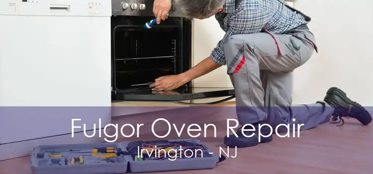 Fulgor Oven Repair Irvington - NJ