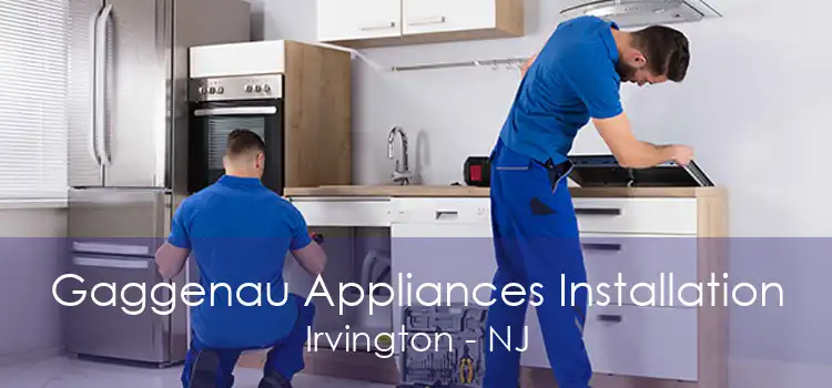 Gaggenau Appliances Installation Irvington - NJ