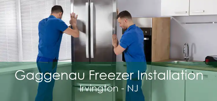 Gaggenau Freezer Installation Irvington - NJ