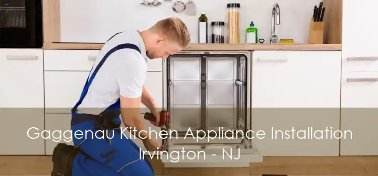Gaggenau Kitchen Appliance Installation Irvington - NJ