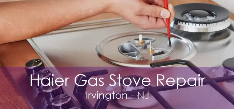 Haier Gas Stove Repair Irvington - NJ