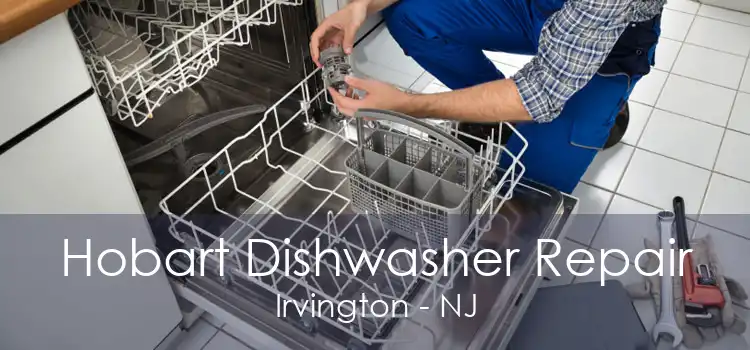 Hobart Dishwasher Repair Irvington - NJ