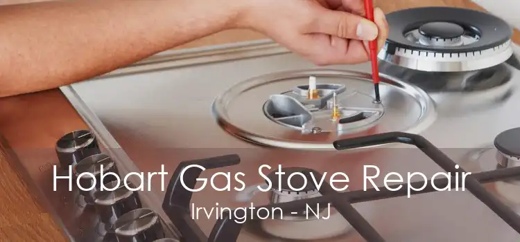 Hobart Gas Stove Repair Irvington - NJ