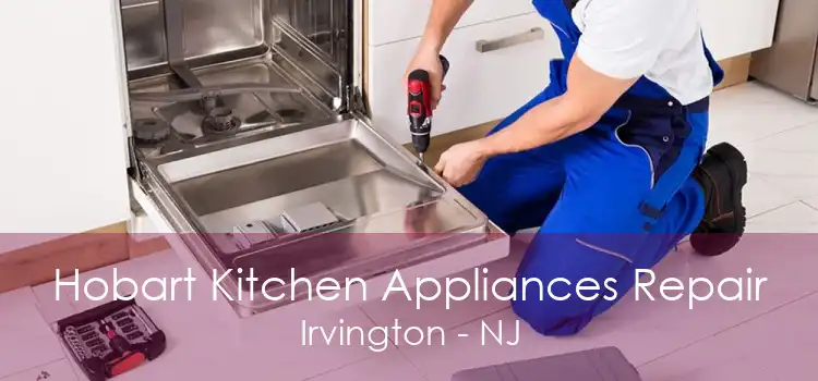Hobart Kitchen Appliances Repair Irvington - NJ