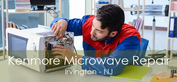 Kenmore Microwave Repair Irvington - NJ