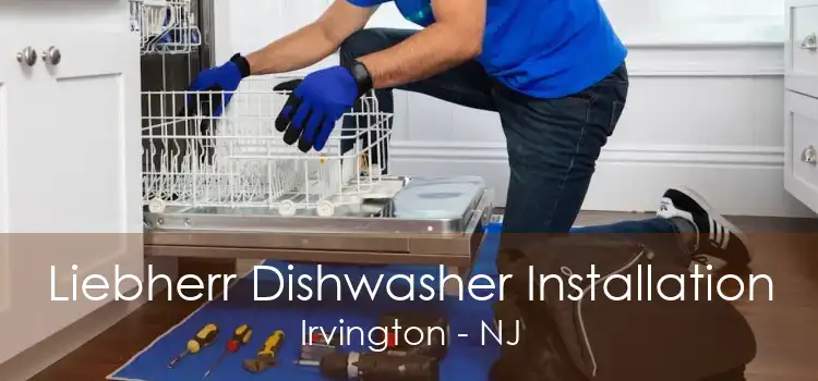 Liebherr Dishwasher Installation Irvington - NJ