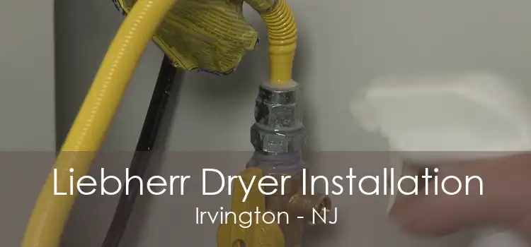 Liebherr Dryer Installation Irvington - NJ