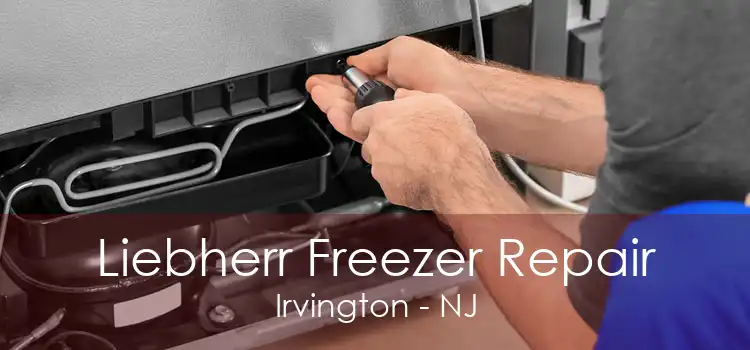 Liebherr Freezer Repair Irvington - NJ