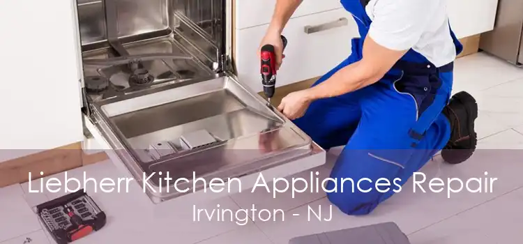 Liebherr Kitchen Appliances Repair Irvington - NJ