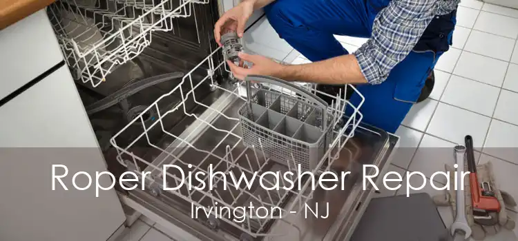 Roper Dishwasher Repair Irvington - NJ