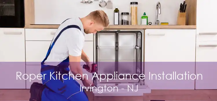 Roper Kitchen Appliance Installation Irvington - NJ