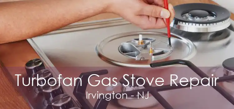 Turbofan Gas Stove Repair Irvington - NJ