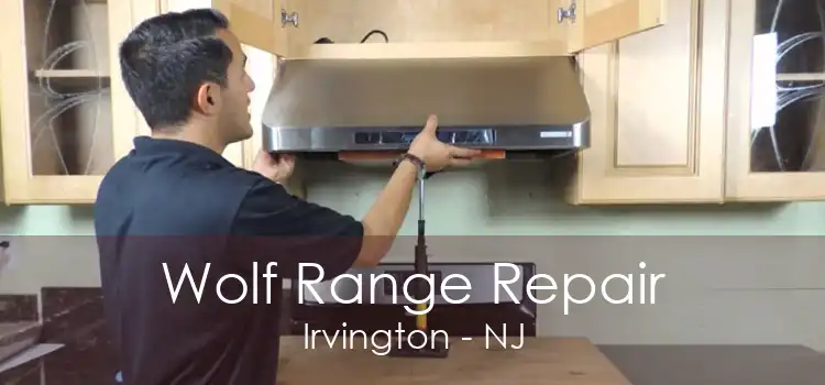 Wolf Range Repair Irvington - NJ