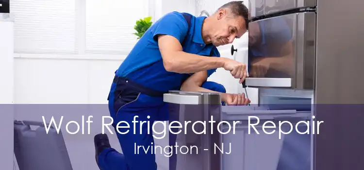 Wolf Refrigerator Repair Irvington - NJ