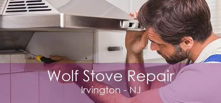 Wolf Stove Repair Irvington - NJ