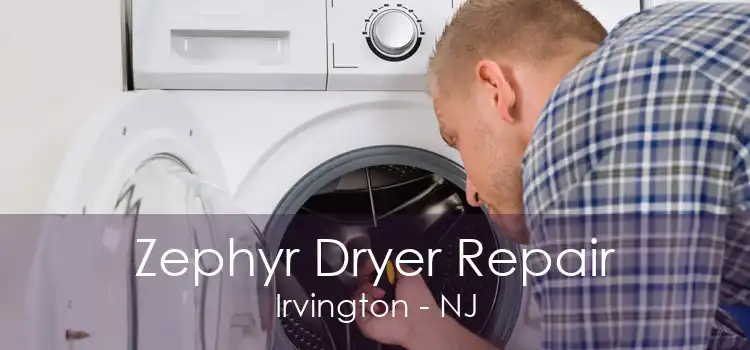 Zephyr Dryer Repair Irvington - NJ