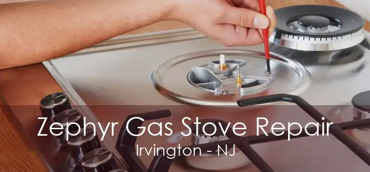 Zephyr Gas Stove Repair Irvington - NJ