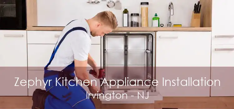 Zephyr Kitchen Appliance Installation Irvington - NJ