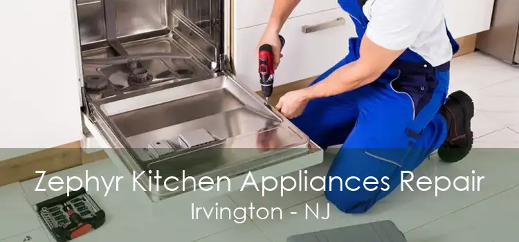 Zephyr Kitchen Appliances Repair Irvington - NJ