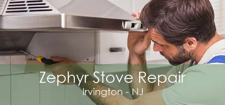Zephyr Stove Repair Irvington - NJ